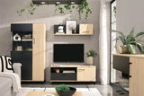 Kommode - Madison - Elegantes Design für jeden Geschmack. - ROYAL24_MARKT