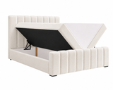 Boxbett - Bett 01 BIS - Vibe - Komfort trifft auf modernes Design