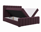 Boxbett – Bett 01 BIS – Vibe – Komfort trifft auf modernes Design