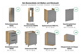 Set-Bestandteile Küchenzeile Nexa KL12-M420: 13 Schränke + Geschirrspülerfront mit Maßen – Farbe Beige Matt