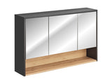 Spiegelschrank Bornella Cosmos Grau 120 × 75 × 25 cm mit 3 Türen – Ansicht 3